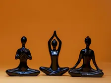 Yoga & Mimosa- BGIA X M&M