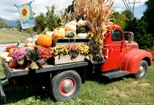 IFMA Fall Festival https://ifma-hamptonroads.org/fall-festival/
