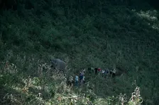 The Enchanted Trail