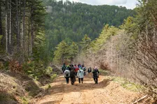 Ruta de test: Barranc y cova de la Falaguera. Alfarp. Ribera Alta. Valencia.