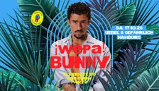 BAD BUNNY TRIBUTE PARTY