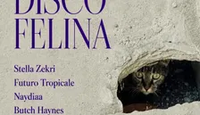DISCO FELINA: Stella Zekri, Futuro Tropicale, Naydiaa, Butch Haynes b2b M.Brunetti