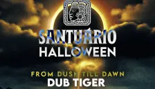 HALLOWEEN - FROM DUSK TILL DAWN