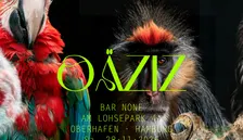 OÄZIZ