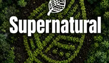 SUPERNATURAL w/ MESTIZA - Daytime Party