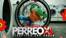 PERREO XL