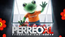 PERREO XL