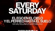 PERREO XL