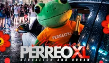 PERREO XL