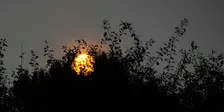 Vollemaan en Vleermuizen Wandeling, zaterdag 26 september 19.30 uur
