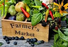 Summer Events and More