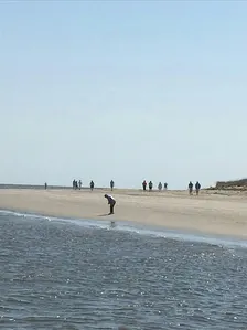 October  Ossabaw Island Beach Ecology Day Trip