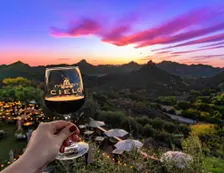 Malibu Comedy Night | Comedy & Magic Under the Stars