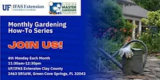 Monthly Gardening How-To Series- Rethinking Turf in Florida Landscapes
