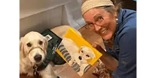 Paint a Portrait of Your Pet - Paint and Sip in Portland | Classpop!™