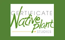 Evergreens, SCNP Certificate Elective 12.12.26