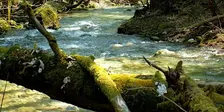 Deep Time Walk | Marche du Temps Profond  | 11 October 2026 | Autumn!