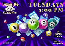 Bingo Tuesdays at Charlie B's Daiquiris