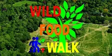 October Hampstead Heath (London) Wild Food Foraging/ Foragers Walk.