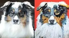 Paint Your Pet Sunday, Nov. 15th 5:30pm $49
