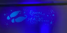 Blacklight Tour - Reveal the Magic