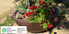 Waterwise and California Native Plant Container Gardening