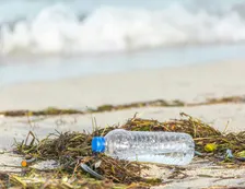Beach Cleanup