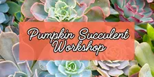 Pumpkin Succulent Workshop