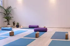 Milan: Vinyasa Flow Yoga Class in English