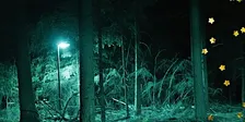 Nacht van de Nacht wandeling op 24 oktober in Broekpolder Vlaardingen
