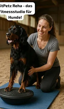 Animore-PhysioFit! Das Fitnessstudio für Hunde