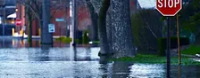 Residential Flood Insurance for the LA Dweller Real Estate Agent CE Class