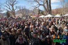 UllrGrass Music & Beer Festival - 2027