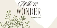 Wild + Wonder play