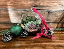 Succulent Ornament Workshop