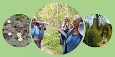 Interactive Listening Quest: an ears-first exploration