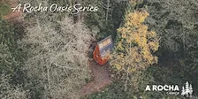 Oasis Series with Carolyn Arends