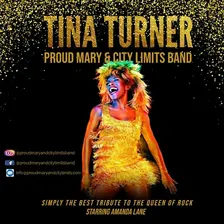 Tina Turner Tribute - Proud Mary & City Limits Band / Enniscorthy Wexford