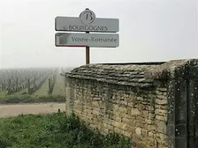 Discover the Wines of Burgundy