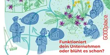 Gardening für Einsteiger:innen