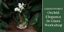 Orchid Elegance in Glass Workshop at GARDENWORKS Nanaimo