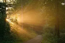 Knowing, Not Knowing, and Inner Knowing: A Practice for Turbulent Times