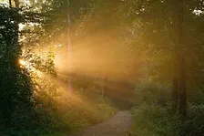 Knowing, Not Knowing, and Inner Knowing: A Practice for Turbulent Times