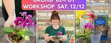 Orchid Re-pot Workshop @ Smucker Gardens
