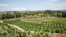 Regenerative Farm Tours at Apricot Lane Farms