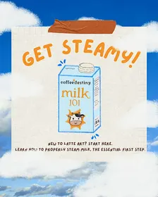 milk 101- Learn Milk Steaming Skills Before Latte Art
