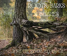 Roots, Barks and Berries