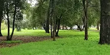 Edenvale Park Monthly Clean Up