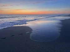 Practice Mindfulness at Sunrise Sangha Meditation Sessions