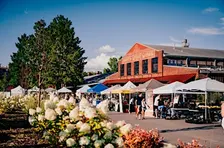 Factory Farmer Market at the Factory at Franklin